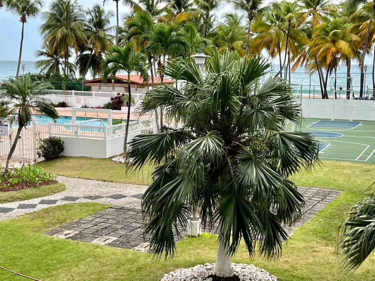 Hobie Oceanfront Apartment At Isla Verde San Juan Ngoại thất bức ảnh